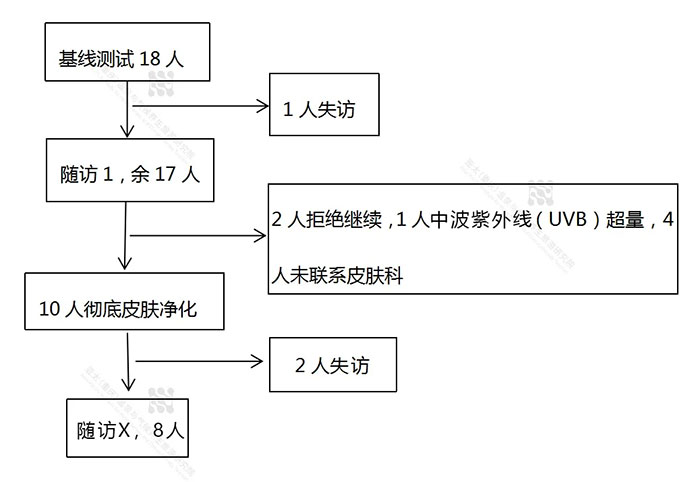 圖1.webp.jpg