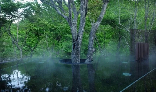 日本溫泉旅館往往融合森林景觀打造.webp.jpg