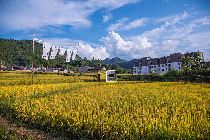 特色小鎮(zhèn)旅游策劃的文化創(chuàng)意活動