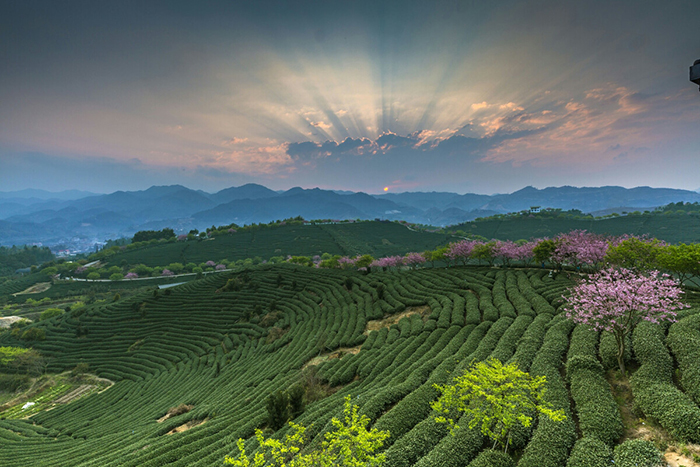 旅游小鎮(zhèn)規(guī)劃設(shè)計的未來：數(shù)字技術(shù)革命