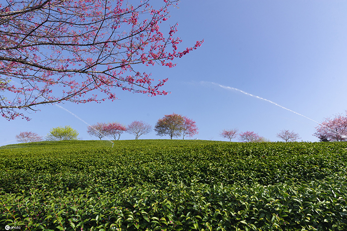 設(shè)計(jì)溫泉度假村：獨(dú)特體驗(yàn)的創(chuàng)新方案