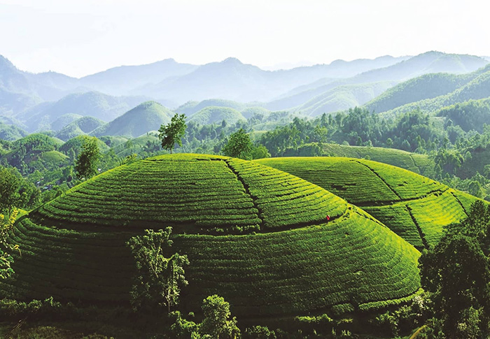 康養(yǎng)小鎮(zhèn)規(guī)劃需要多少錢