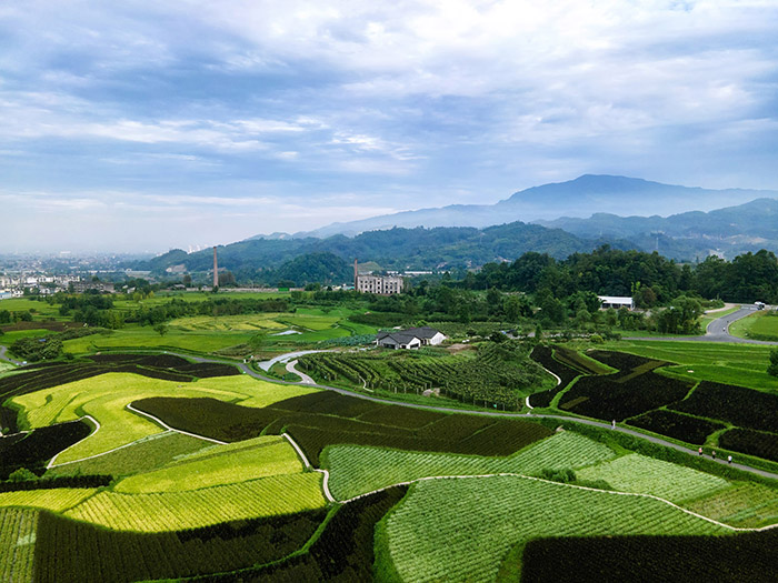 文旅項(xiàng)目策劃怎么引流