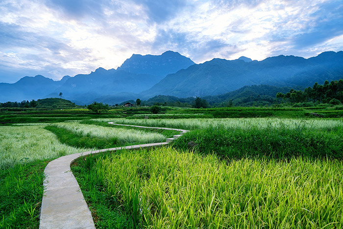 最全文旅小鎮(zhèn)的整體打造模式